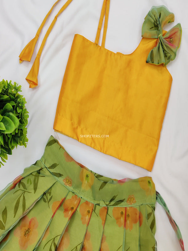 Yellow Silk Top With Mint Green Organza Skirt