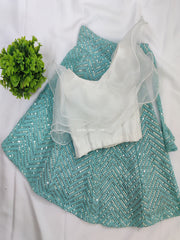 White Organza Top With Light Blue Chikankari Skirt